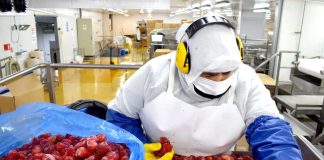 Amenaza de arancel en EE. UU. pone en riesgo el dinamismo de la agroindustria chilena