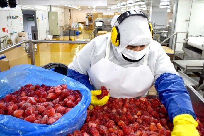 Amenaza de arancel en EE. UU. pone en riesgo el dinamismo de la agroindustria chilena Amenaza de arancel en EE. UU. pone en riesgo el dinamismo de la agroindustria chilena