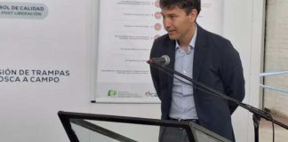 Argentina La CAFI respaldó la importación de manzanas chilenas y defendió la apertura de mercados