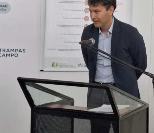 Argentina | La CAFI respaldó la importación de manzanas chilenas y defendió la apertura de mercados Argentina La CAFI respaldó la importación de manzanas chilenas y defendió la apertura de mercados