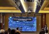Argentina | Producción de avellanos: Viedma mira a Chile y apuesta a un cultivo que gana terreno en el mundo Argentina Producción de avellanos Viedma mira a Chile y apuesta a un cultivo que gana terreno en el mundo