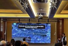 Argentina | Producción de avellanos: Viedma mira a Chile y apuesta a un cultivo que gana terreno en el mundo Argentina Producción de avellanos Viedma mira a Chile y apuesta a un cultivo que gana terreno en el mundo