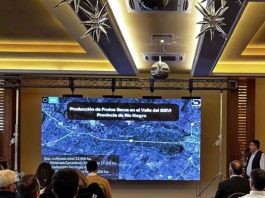 Argentina Producción de avellanos Viedma mira a Chile y apuesta a un cultivo que gana terreno en el mundo