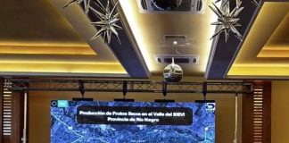 Argentina | Producción de avellanos: Viedma mira a Chile y apuesta a un cultivo que gana terreno en el mundo Argentina Producción de avellanos Viedma mira a Chile y apuesta a un cultivo que gana terreno en el mundo
