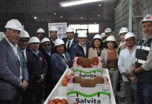 Arica inicia nueva temporada de exportaciones de tomate a Argentina con primer envío de más de 23 toneladas Arica inicia nueva temporada de exportaciones de tomate a Argentina con primer envío de más de 23 toneladas