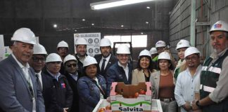 Arica inicia nueva temporada de exportaciones de tomate a Argentina con primer envío de más de 23 toneladas Arica inicia nueva temporada de exportaciones de tomate a Argentina con primer envío de más de 23 toneladas