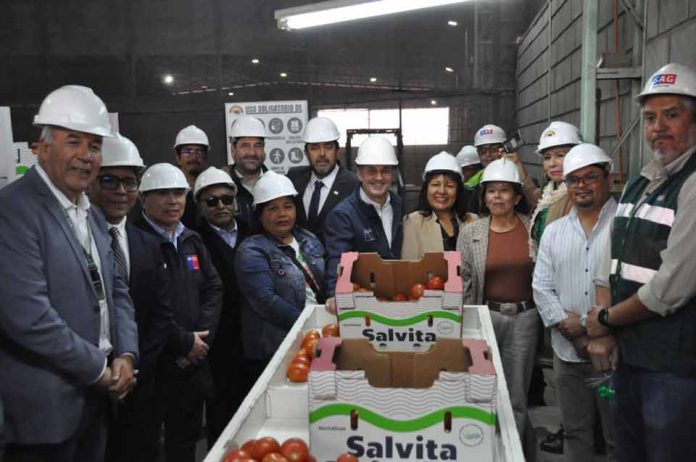 Arica inicia nueva temporada de exportaciones de tomate a Argentina con primer envío de más de 23 toneladas Arica inicia nueva temporada de exportaciones de tomate a Argentina con primer envío de más de 23 toneladas