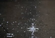 Ofician al Ministerio de Agricultura para conocer planes de contingencia ante eventual llegada del «Niño Godzilla» Ofician al Ministerio de Agricultura para conocer planes de contingencia ante eventual llegada del "Niño Godzilla"