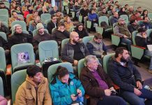 Avellano europeo en Chile: investigadores entregaron información clave para mejorar productividad Avellano europeo en Chile investigadores entregaron información clave para mejorar productividad