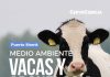 Bienestar animal y arqueología costera protagonizarán una nueva jornada de CerveCiencia en Puerto Montt Bienestar animal y arqueología costera protagonizarán una nueva jornada de CerveCiencia en Puerto Montt