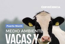Bienestar animal y arqueología costera protagonizarán una nueva jornada de CerveCiencia en Puerto Montt Bienestar animal y arqueología costera protagonizarán una nueva jornada de CerveCiencia en Puerto Montt