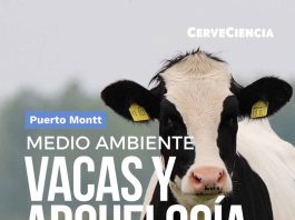 Bienestar animal y arqueología costera protagonizarán una nueva jornada de CerveCiencia en Puerto Montt Bienestar animal y arqueología costera protagonizarán una nueva jornada de CerveCiencia en Puerto Montt