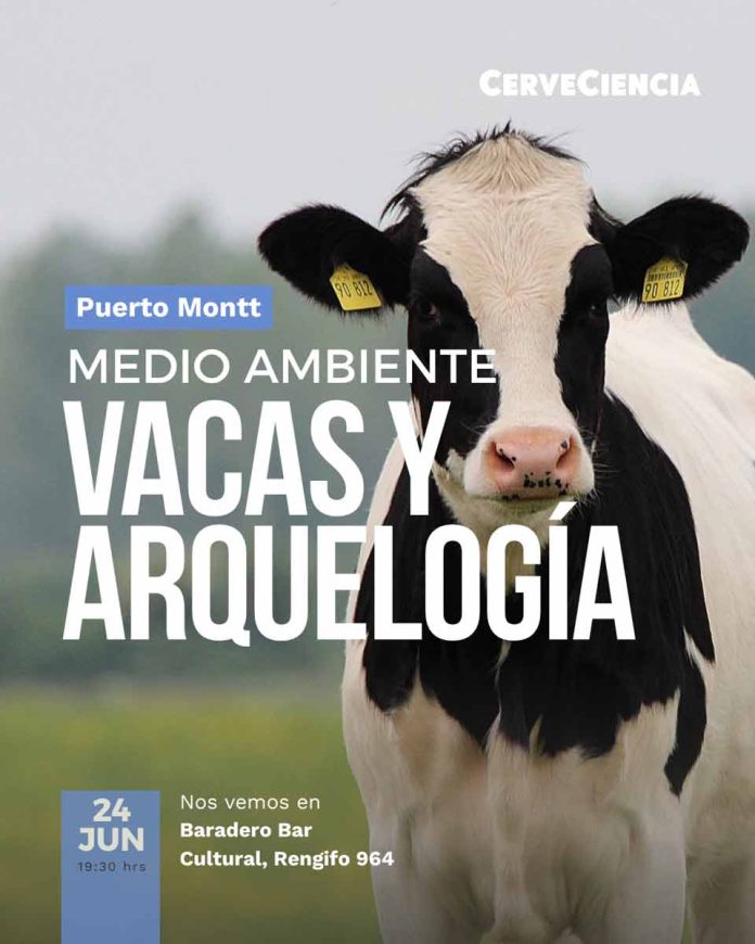 Bienestar animal y arqueología costera protagonizarán una nueva jornada de CerveCiencia en Puerto Montt Bienestar animal y arqueología costera protagonizarán una nueva jornada de CerveCiencia en Puerto Montt
