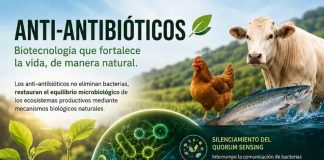 Biotecnología que fortalece la vida