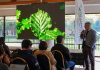 Biotecnología y genética: Las claves que definirán la próxima década del avellano europeo en Chile Biotecnología y genética: Las claves que definirán la próxima década del avellano europeo en Chile