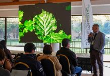 Biotecnología y genética: Las claves que definirán la próxima década del avellano europeo en Chile Biotecnología y genética: Las claves que definirán la próxima década del avellano europeo en Chile
