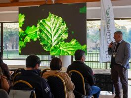 Biotecnología y genética: Las claves que definirán la próxima década del avellano europeo en Chile Biotecnología y genética: Las claves que definirán la próxima década del avellano europeo en Chile