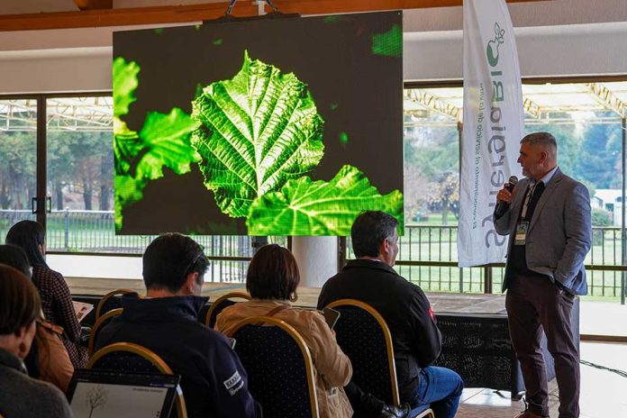 Biotecnología y genética: Las claves que definirán la próxima década del avellano europeo en Chile
