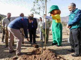 CONAF dona cien árboles nativos como aporte a la reforestación del Parque Natural San Carlos de Apoquindo CONAF dona cien árboles nativos como aporte a la reforestación del Parque Natural San Carlos de Apoquindo