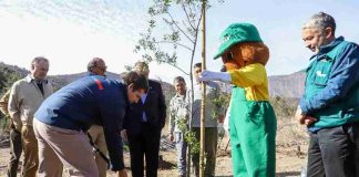 CONAF dona cien árboles nativos como aporte a la reforestación del Parque Natural San Carlos de Apoquindo CONAF dona cien árboles nativos como aporte a la reforestación del Parque Natural San Carlos de Apoquindo