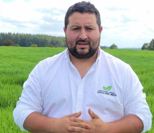 Columna de opinión | Estados Unidos le puso precio a la cancha torcida Camilo Guzmán, presidente de la Asociación Gremial Agricultores Unidos de Chile A.G.