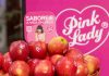 Chile intensifica promoción de manzanas premium en Brasil con campaña de US$650 mil Chile intensifica promoción de manzanas premium en Brasil con campaña de US$650 mil