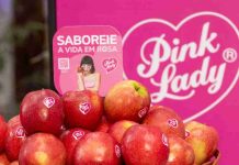 Chile intensifica promoción de manzanas premium en Brasil con campaña de US$650 mil Chile intensifica promoción de manzanas premium en Brasil con campaña de US$650 mil