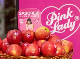 Chile intensifica promoción de manzanas premium en Brasil con campaña de US$650 mil Chile intensifica promoción de manzanas premium en Brasil con campaña de US$650 mil