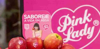 Chile intensifica promoción de manzanas premium en Brasil con campaña de US$650 mil Chile intensifica promoción de manzanas premium en Brasil con campaña de US$650 mil