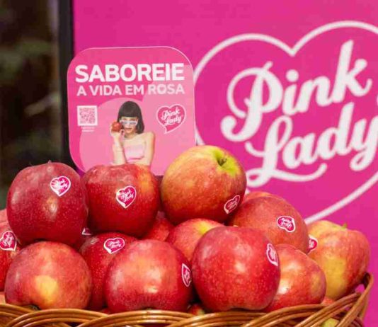 Chile intensifica promoción de manzanas premium en Brasil con campaña de US$650 mil Chile intensifica promoción de manzanas premium en Brasil con campaña de US$650 mil