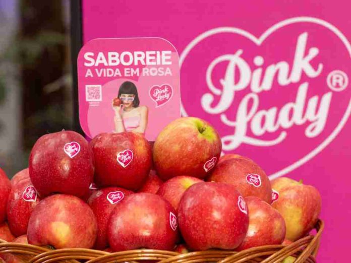 Chile intensifica promoción de manzanas premium en Brasil con campaña de US$650 mil Chile intensifica promoción de manzanas premium en Brasil con campaña de US$650 mil