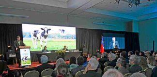 Chilelácteo 2026 pondrá el foco en innovación, comercio internacional y recambio generacional para proyectar el desarrollo del sector lechero Chilelácteo 2026 pondrá el foco en innovación, comercio internacional y recambio generacional para proyectar el desarrollo del sector lechero