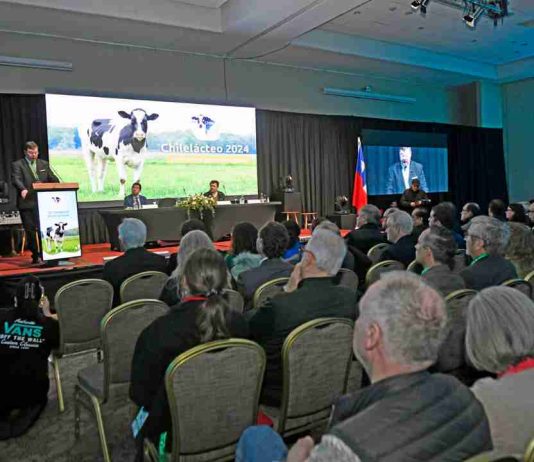 Chilelácteo 2026 pondrá el foco en innovación, comercio internacional y recambio generacional para proyectar el desarrollo del sector lechero Chilelácteo 2026 pondrá el foco en innovación, comercio internacional y recambio generacional para proyectar el desarrollo del sector lechero
