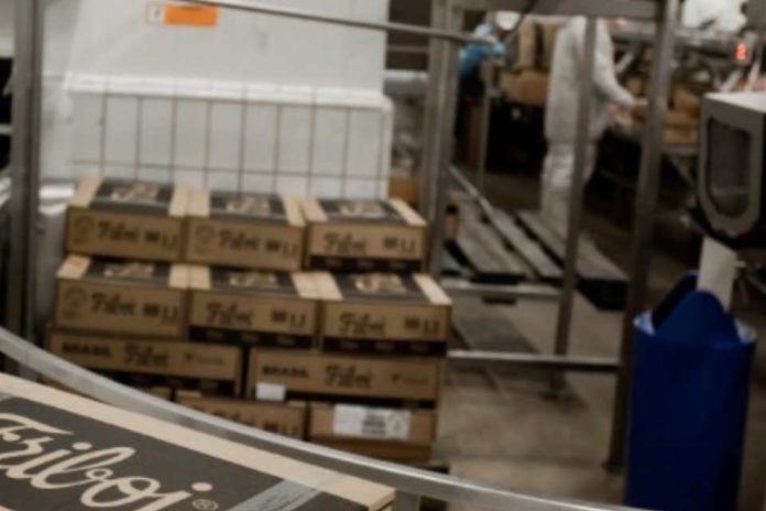China suspende la planta de carne de JBS por detección de hormonas China suspende la planta de carne de JBS por detección de hormonas