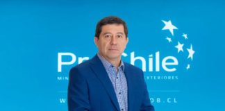 Columna de opinión | Chilelácteo 2026: exportar desde las praderas del sur