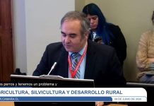 Agrollanquihue expone ante Comisión de Agricultura por impacto de perros asilvestrados en zonas rurales Agrollanquihue expone ante Comisión de Agricultura por impacto de perros asilvestrados en zonas rurales
