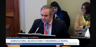 Agrollanquihue expone ante Comisión de Agricultura por impacto de perros asilvestrados en zonas rurales 