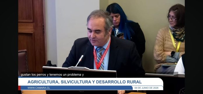 Comisioìn 3 Agrollanquihue expone ante Comisión de Agricultura por impacto de perros asilvestrados en zonas rurales