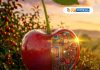 CherryTech 2026: Copeval mostrará innovación y soluciones para la industria cerecera CherryTech 2026: Copeval mostrará innovación y soluciones para la industria cerecera