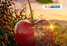 CherryTech 2026: Copeval mostrará innovación y soluciones para la industria cerecera CherryTech 2026: Copeval mostrará innovación y soluciones para la industria cerecera