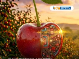 CherryTech 2026: Copeval mostrará innovación y soluciones para la industria cerecera CherryTech 2026: Copeval mostrará innovación y soluciones para la industria cerecera