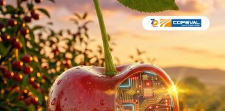 CherryTech 2026: Copeval mostrará innovación y soluciones para la industria cerecera CherryTech 2026: Copeval mostrará innovación y soluciones para la industria cerecera