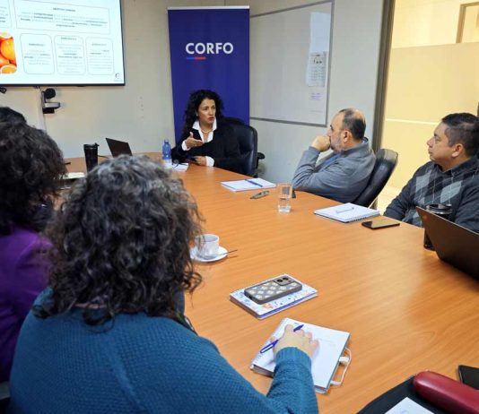 Corfo Valparaíso refuerza trabajo con Programas Estratégicos Regionales para impulsar la sustentabilidad y la gestión hídrica en el agro