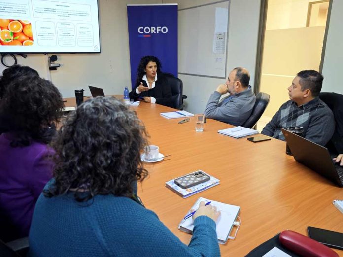 Corfo Valparaíso refuerza trabajo con Programas Estratégicos Regionales para impulsar la sustentabilidad y la gestión hídrica en el agro