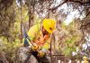 CONAF refuerza llamado a la prevención ante un invierno con inusuales incendios forestales Corporación Nacional Forestal, CONAF