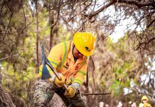 CONAF refuerza llamado a la prevención ante un invierno con inusuales incendios forestales Corporación Nacional Forestal, CONAF