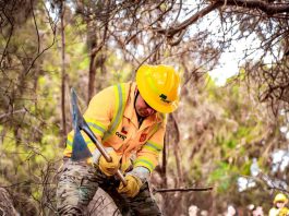 CONAF refuerza llamado a la prevención ante un invierno con inusuales incendios forestales Corporación Nacional Forestal, CONAF