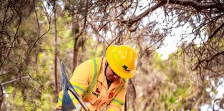 CONAF refuerza llamado a la prevención ante un invierno con inusuales incendios forestales Corporación Nacional Forestal, CONAF