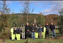 Creación y conservación de Parque Urbano en Malalhue, gracias a Programa de Emergencia de Empleo de CONAF