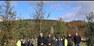 Creación y conservación de Parque Urbano en Malalhue, gracias a Programa de Emergencia de Empleo de CONAF